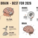 difference between mind and brain