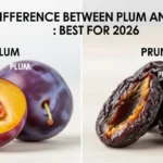 difference between plum and prune